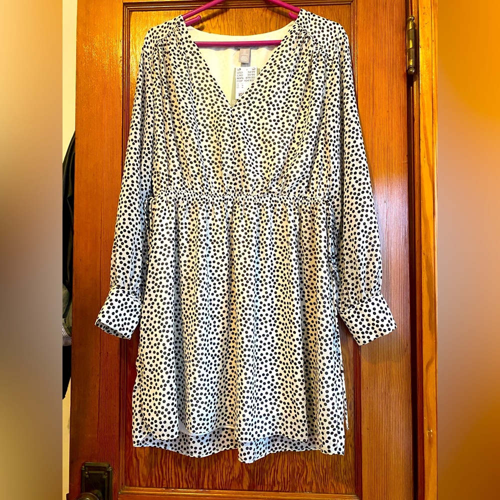H&M Polka Dot V-Neck Dress